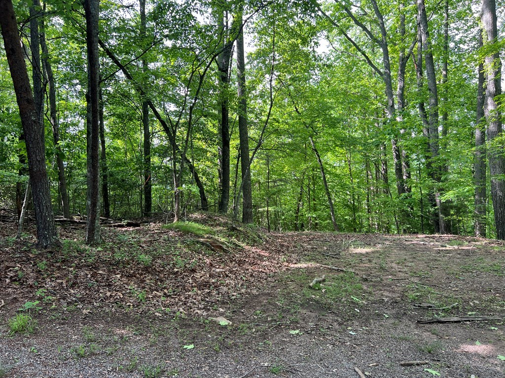 Lot 26 Longview Ridge #26, HAYESVILLE, North Carolina image 16