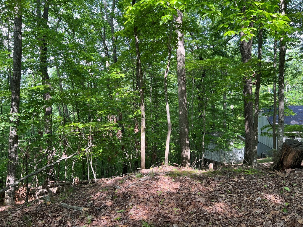 Lot 26 Longview Ridge #26, HAYESVILLE, North Carolina image 3