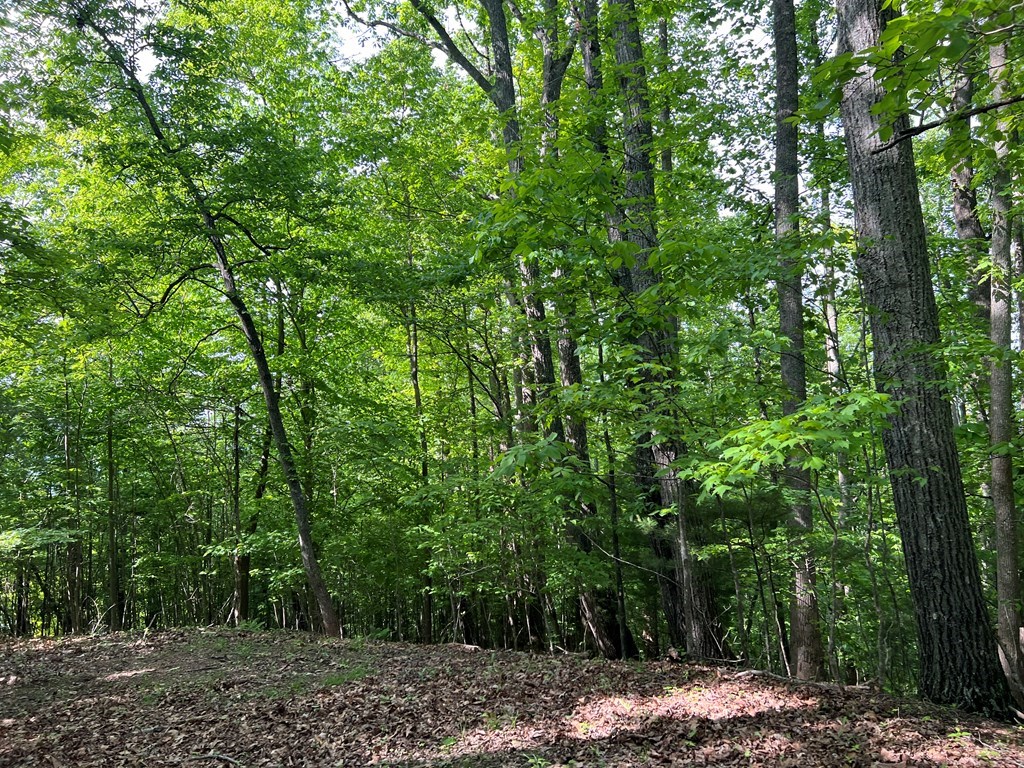 Lot 26 Longview Ridge #26, HAYESVILLE, North Carolina image 8