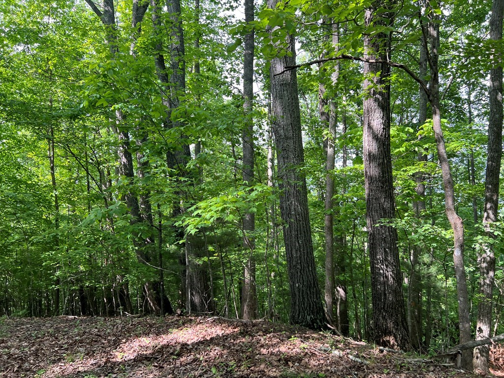 Lot 26 Longview Ridge #26, HAYESVILLE, North Carolina image 6