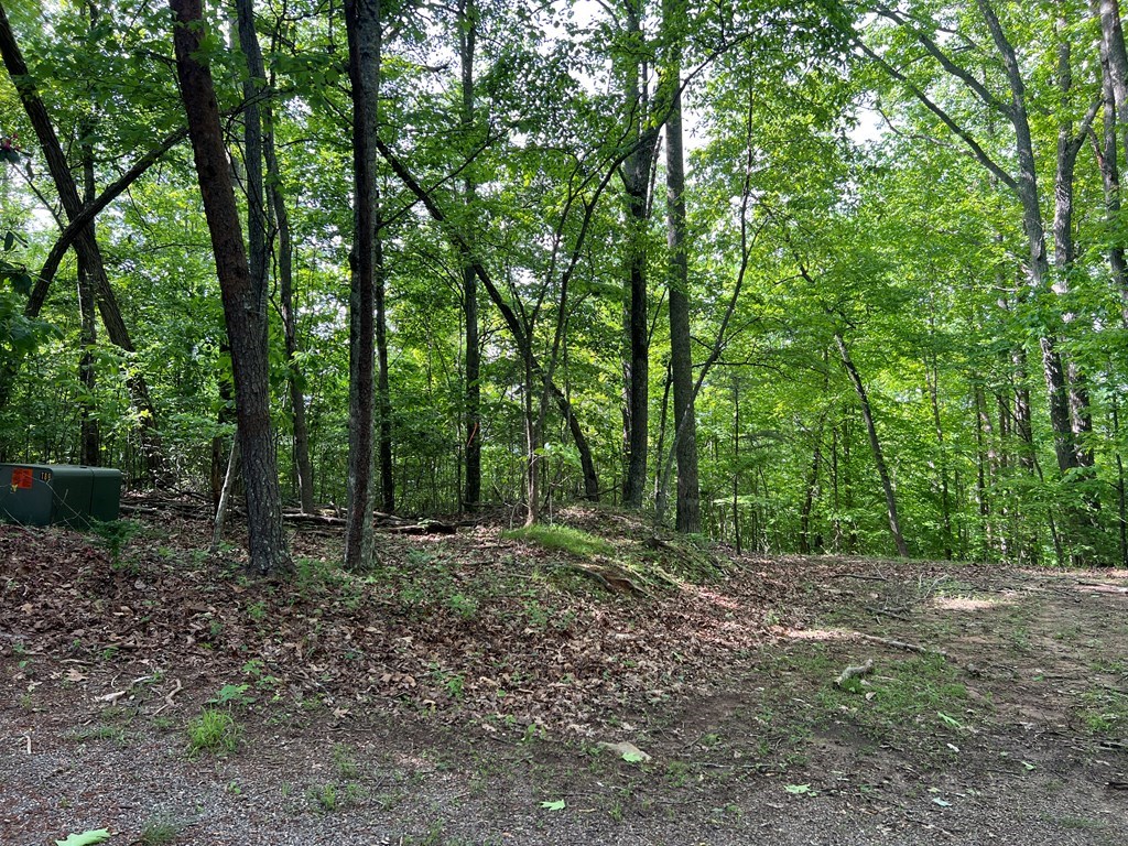 Lot 26 Longview Ridge #26, HAYESVILLE, North Carolina image 17