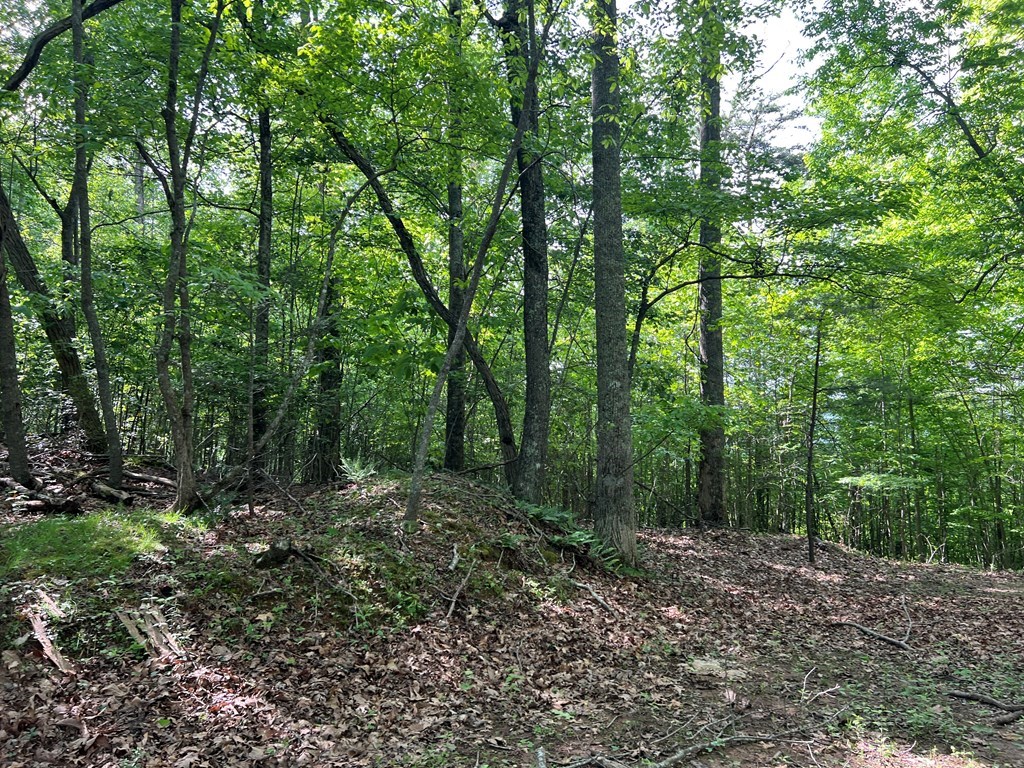 Lot 26 Longview Ridge #26, HAYESVILLE, North Carolina image 10