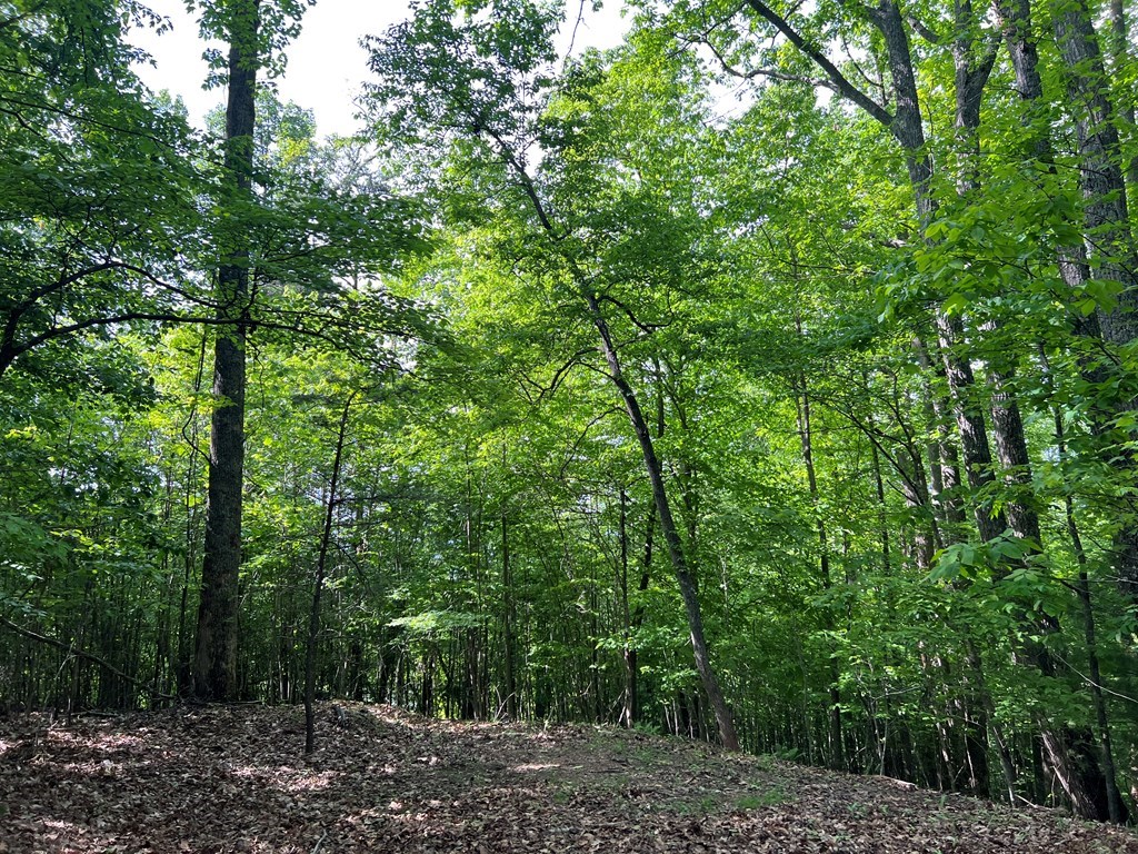Lot 26 Longview Ridge #26, HAYESVILLE, North Carolina image 7