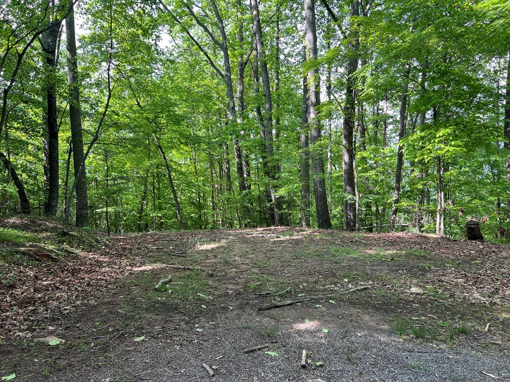 Lot 26 Longview Ridge #26, HAYESVILLE, North Carolina image 15