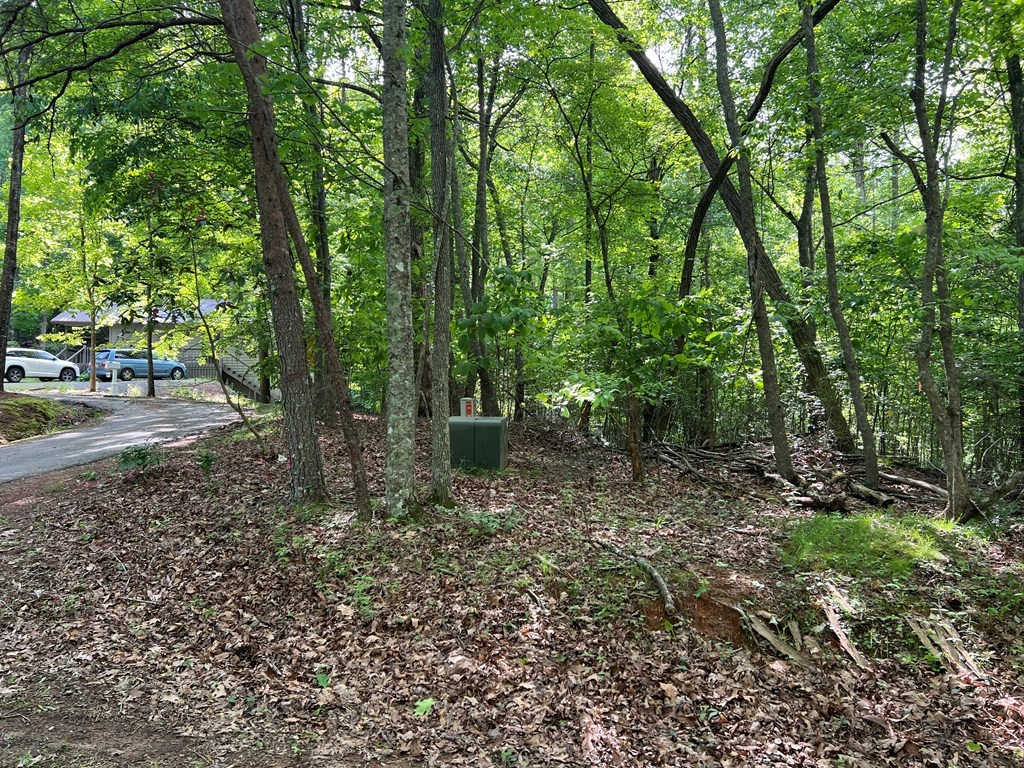 Lot 26 Longview Ridge #26, HAYESVILLE, North Carolina image 11