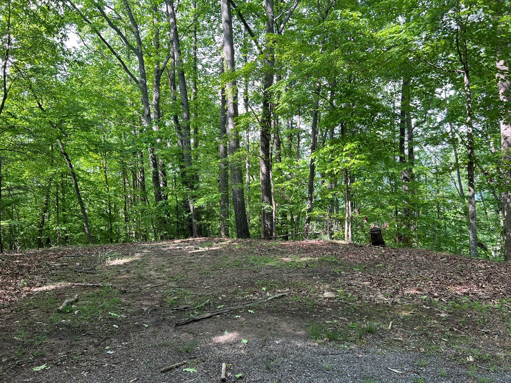 Lot 26 Longview Ridge #26, HAYESVILLE, North Carolina image 13