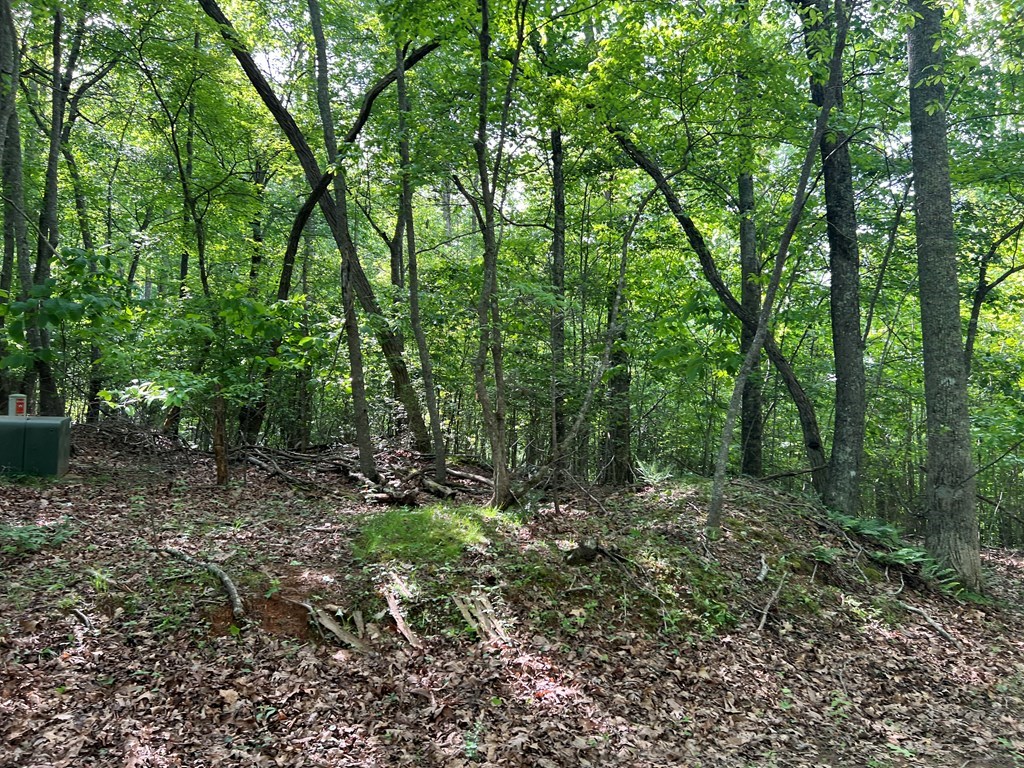 Lot 26 Longview Ridge #26, HAYESVILLE, North Carolina image 12
