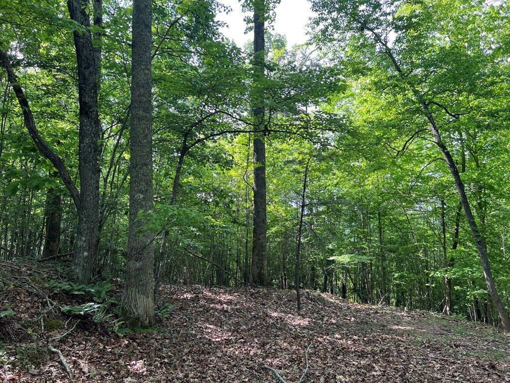Lot 26 Longview Ridge #26, HAYESVILLE, North Carolina image 9