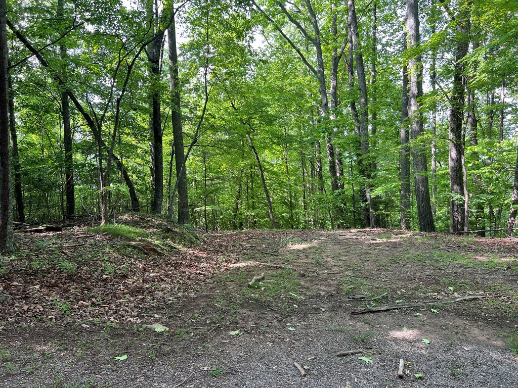Lot 26 Longview Ridge #26, HAYESVILLE, North Carolina image 14