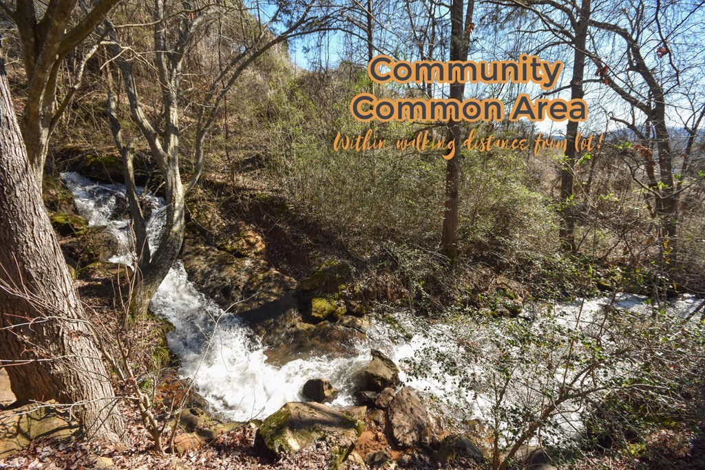 00 The Falls At Willowbrook #11, FRANKLIN, North Carolina image 5