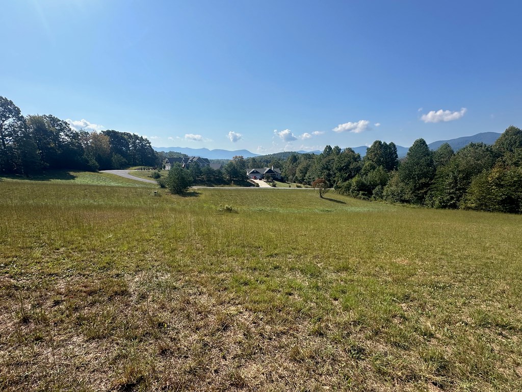 Lot 51 The Preserve At Cc #51, YOUNG HARRIS, Georgia image 3