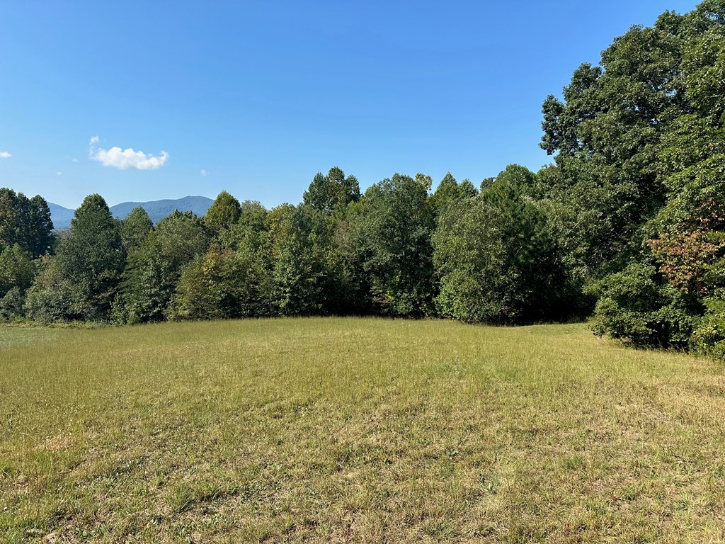 Lot 51 The Preserve At Cc #51, YOUNG HARRIS, Georgia image 2