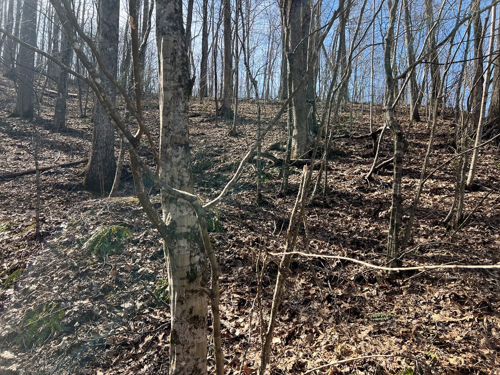 Lot 15 Bear Trail, Roaring Rdg #15, HIAWASSEE, Georgia image 18