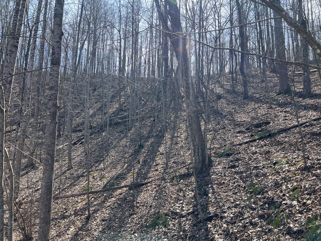 Lot 15 Bear Trail, Roaring Rdg #15, HIAWASSEE, Georgia image 20