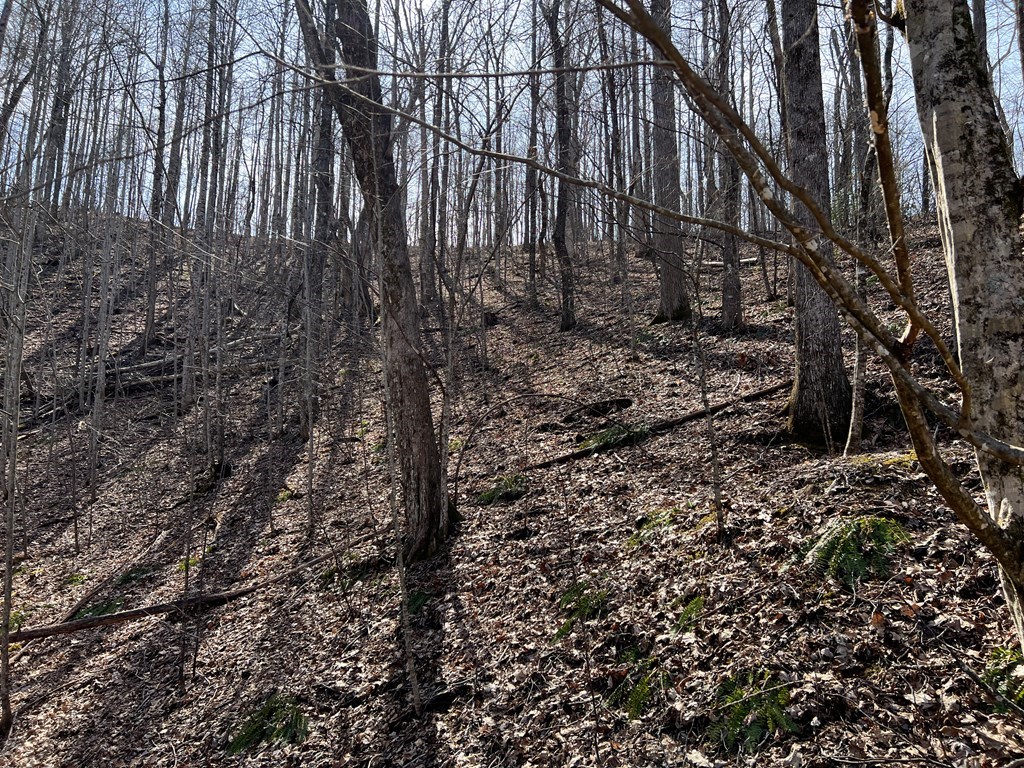 Lot 15 Bear Trail, Roaring Rdg #15, HIAWASSEE, Georgia image 21