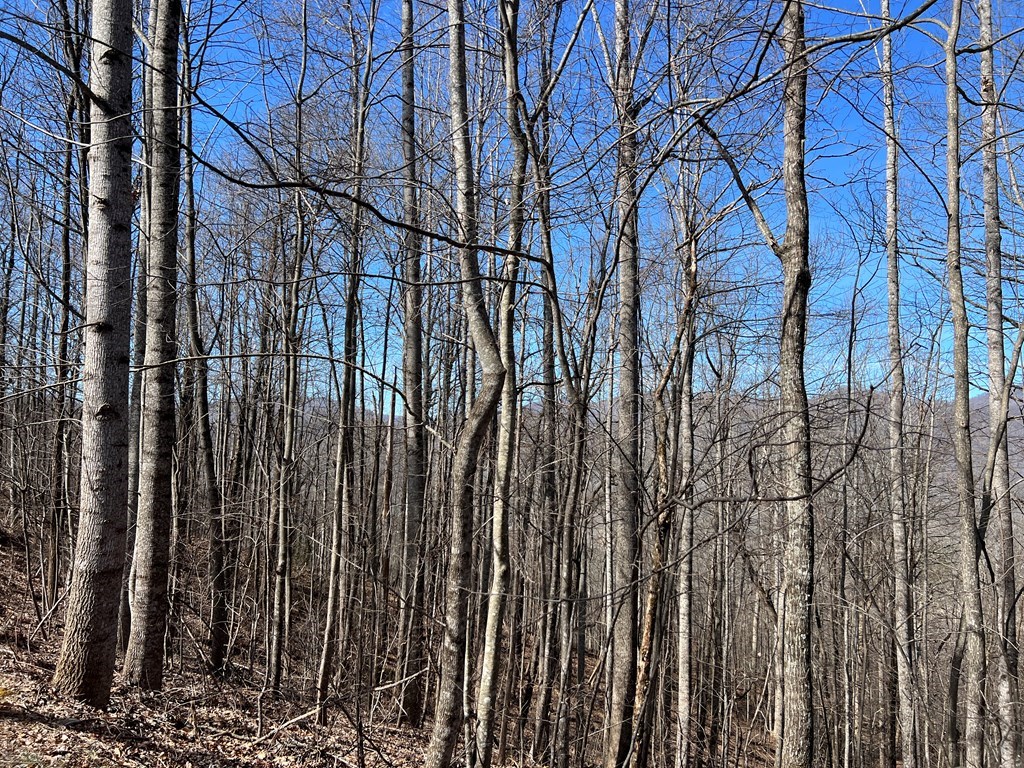 Lot 15 Bear Trail, Roaring Rdg #15, HIAWASSEE, Georgia image 11
