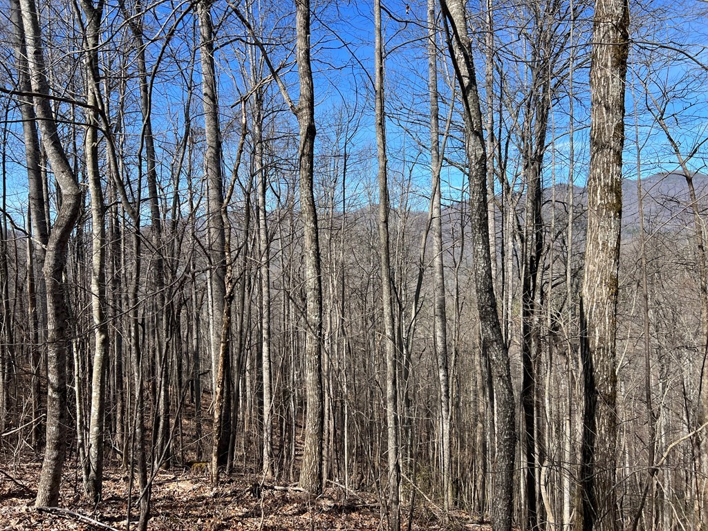 Lot 15 Bear Trail, Roaring Rdg #15, HIAWASSEE, Georgia image 5