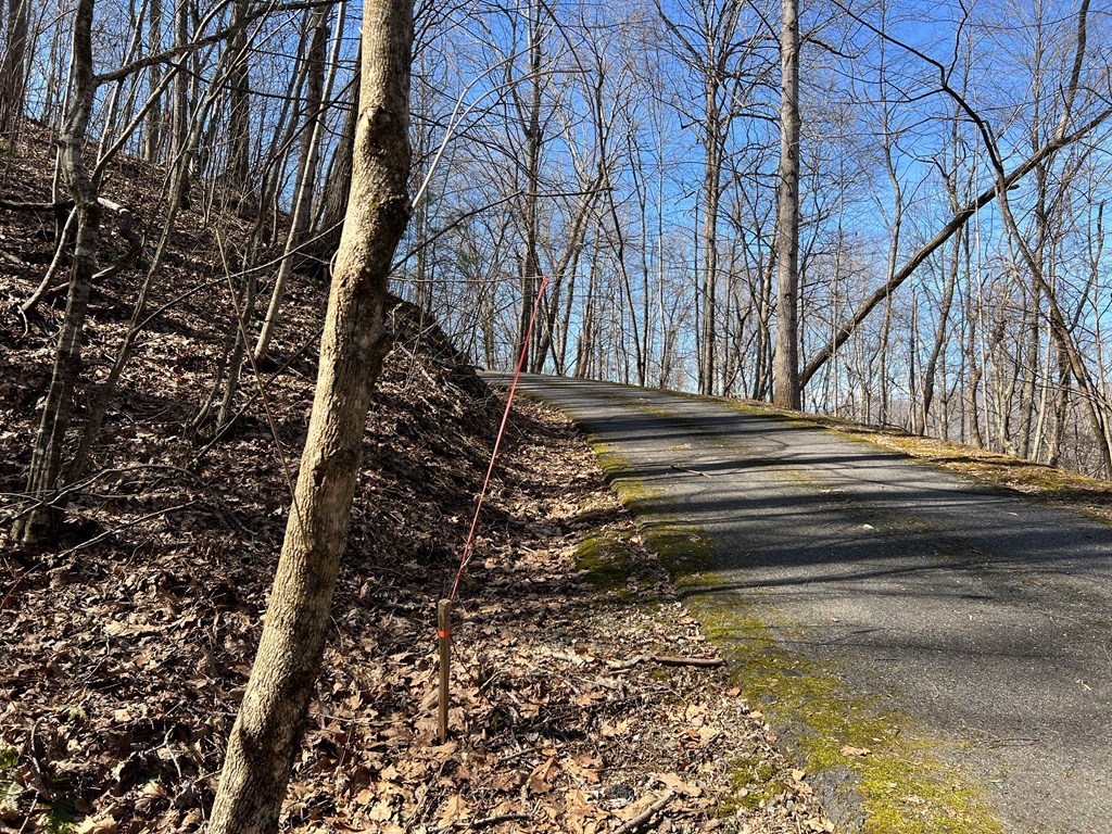 Lot 15 Bear Trail, Roaring Rdg #15, HIAWASSEE, Georgia image 14