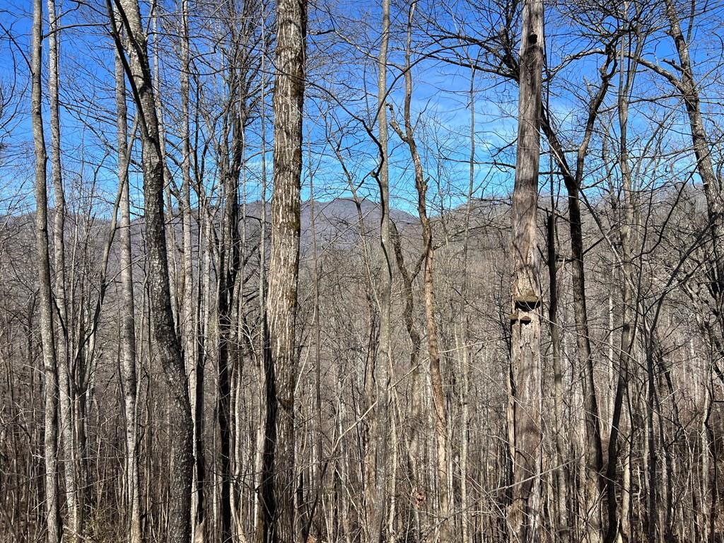 Lot 15 Bear Trail, Roaring Rdg #15, HIAWASSEE, Georgia image 1