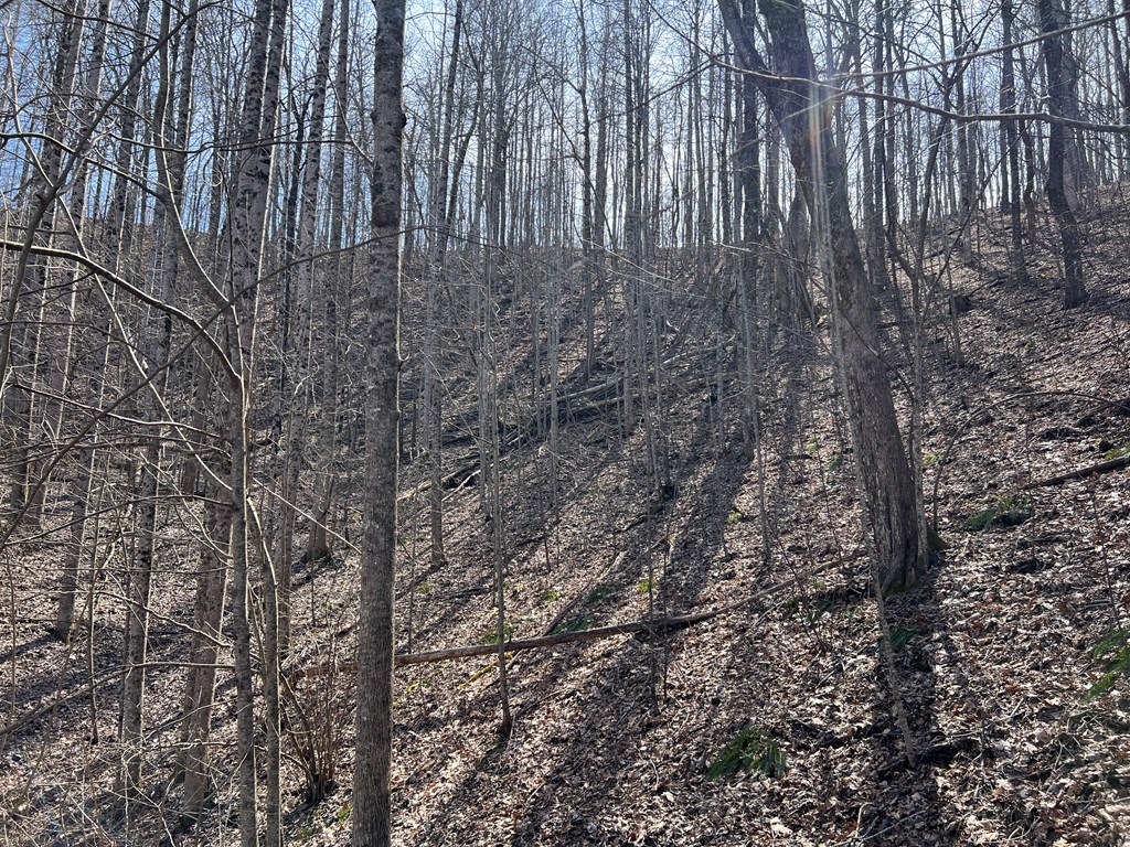 Lot 15 Bear Trail, Roaring Rdg #15, HIAWASSEE, Georgia image 22