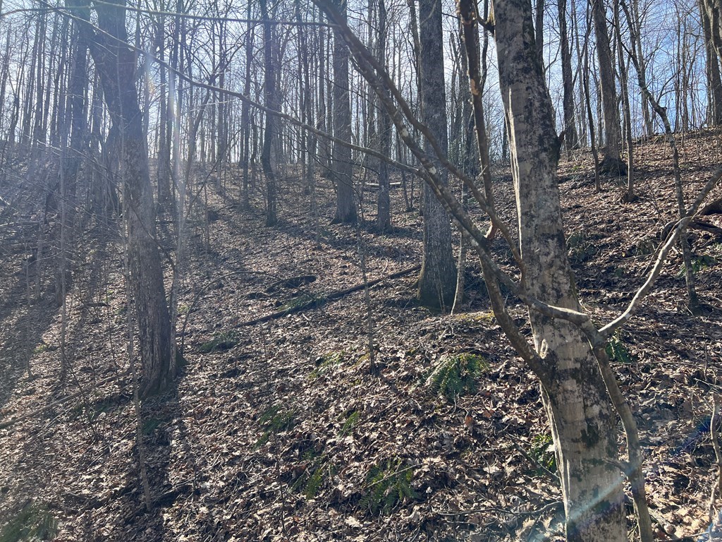 Lot 15 Bear Trail, Roaring Rdg #15, HIAWASSEE, Georgia image 19