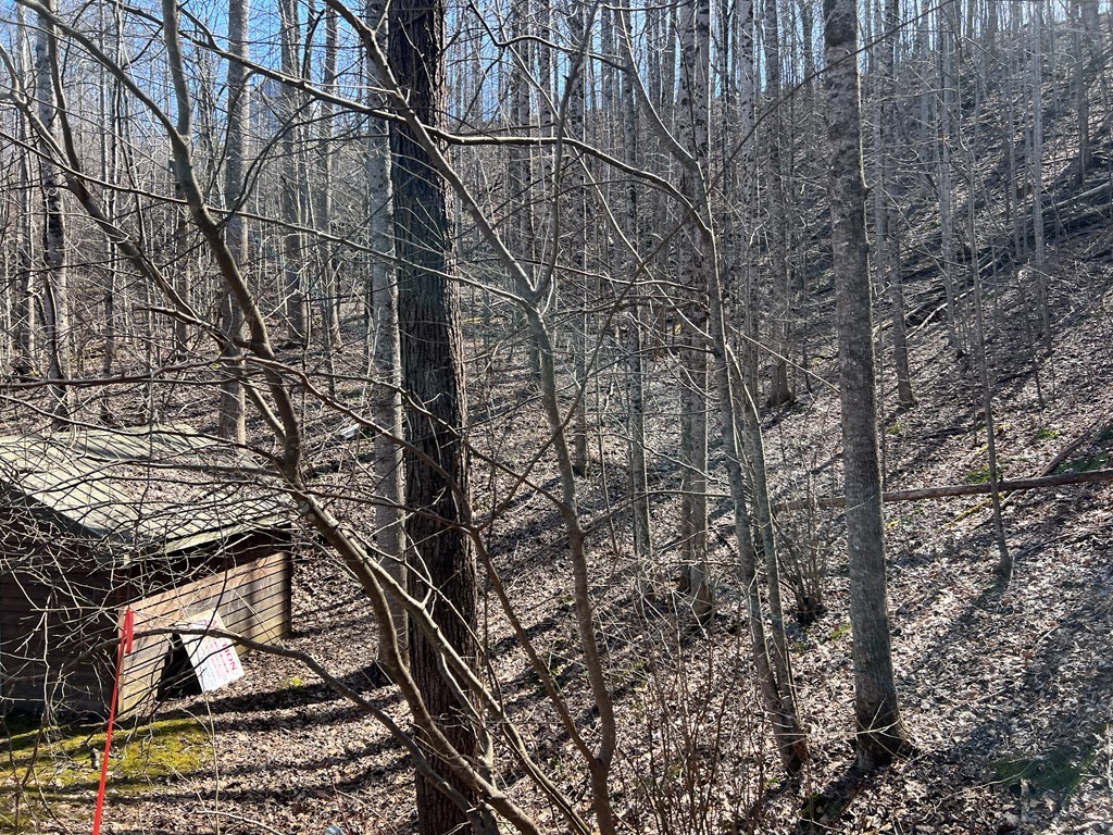 Lot 15 Bear Trail, Roaring Rdg #15, HIAWASSEE, Georgia image 25