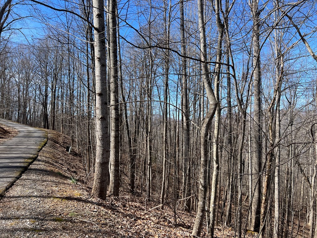 Lot 15 Bear Trail, Roaring Rdg #15, HIAWASSEE, Georgia image 12