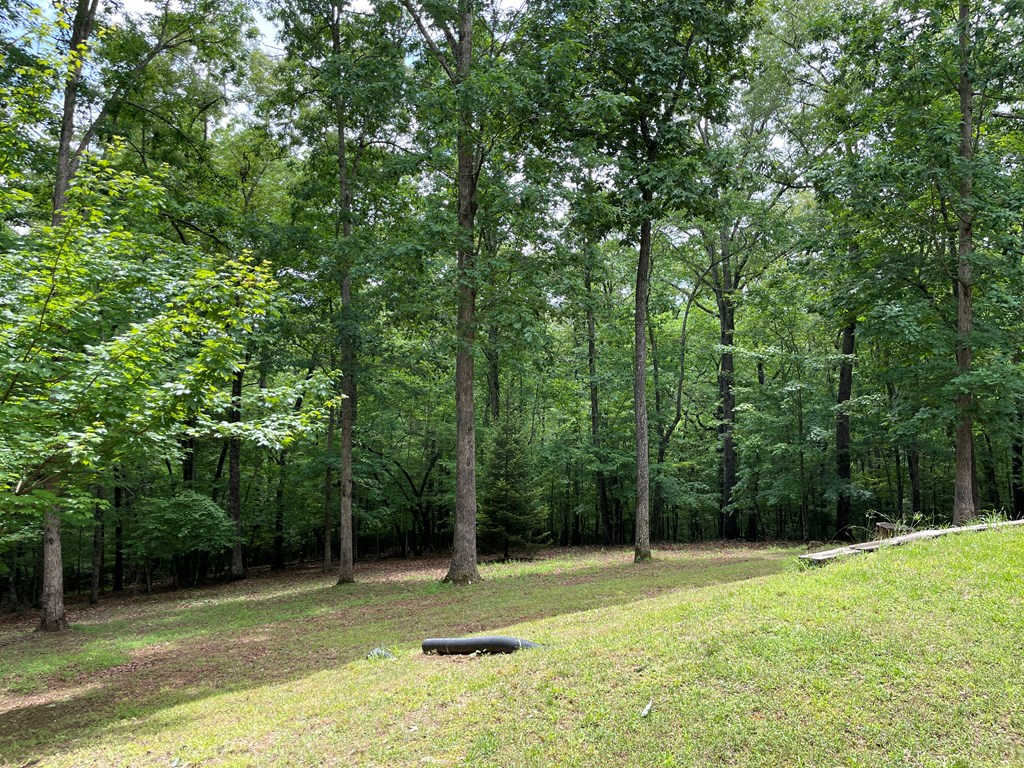 381 Ross Drive, BLUE RIDGE, Georgia image 5