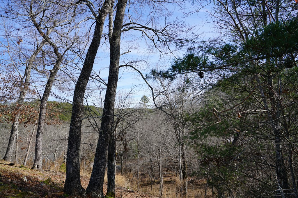 Lt 14 Highland Creek Estates #14, MURPHY, North Carolina image 2