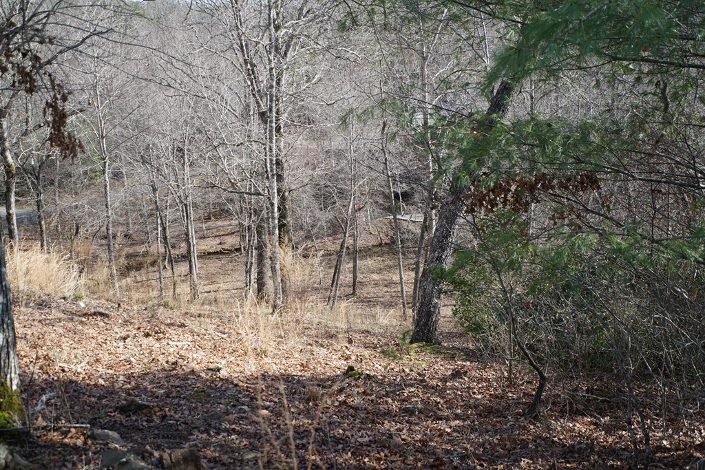 Lt 14 Highland Creek Estates #14, MURPHY, North Carolina image 4