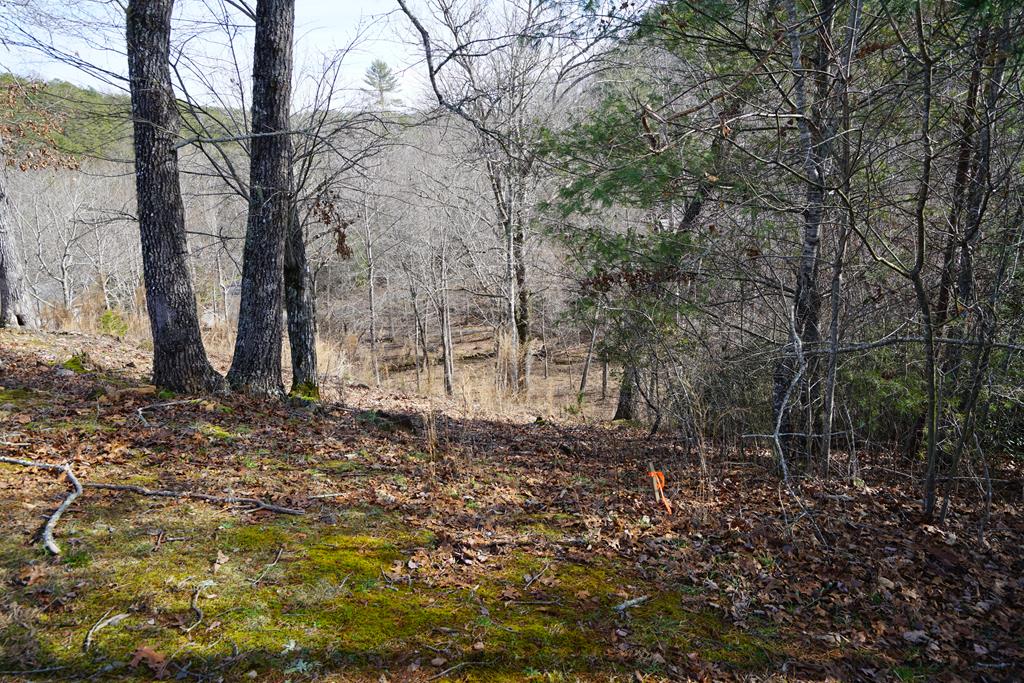 Lt 14 Highland Creek Estates #14, MURPHY, North Carolina image 1