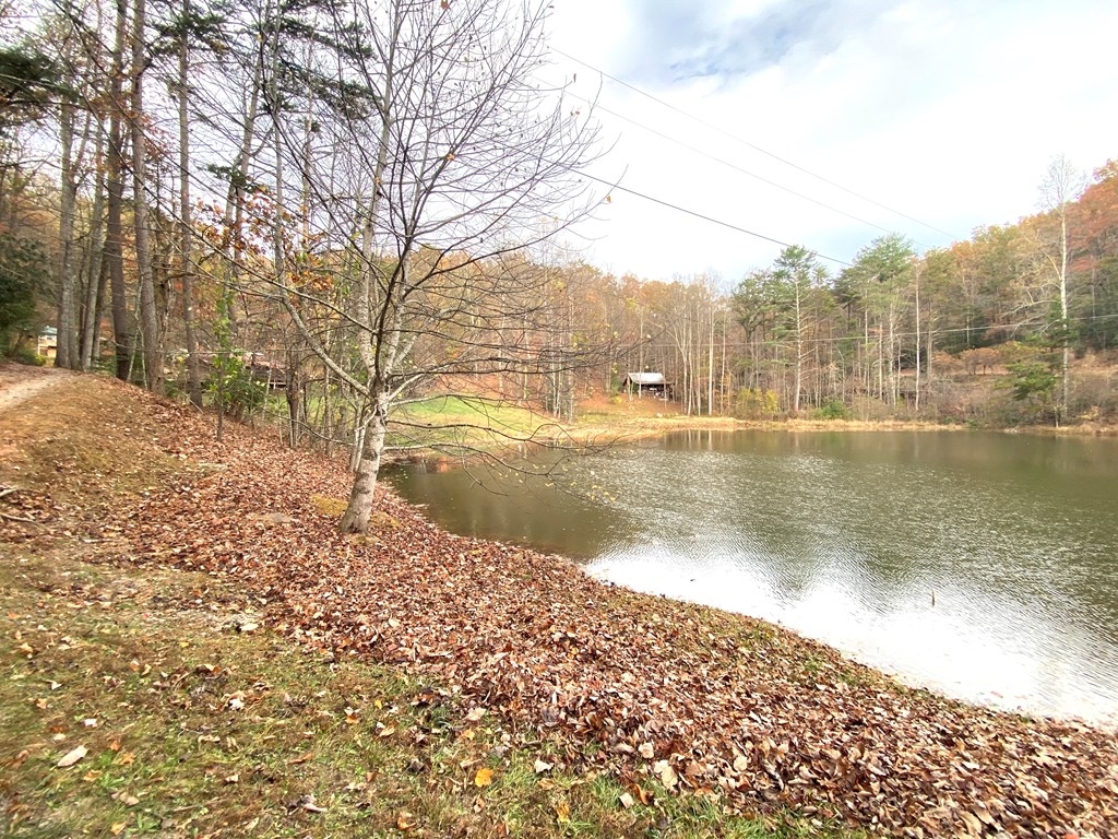 340 Trout Pond Circle, MURPHY, North Carolina image 50