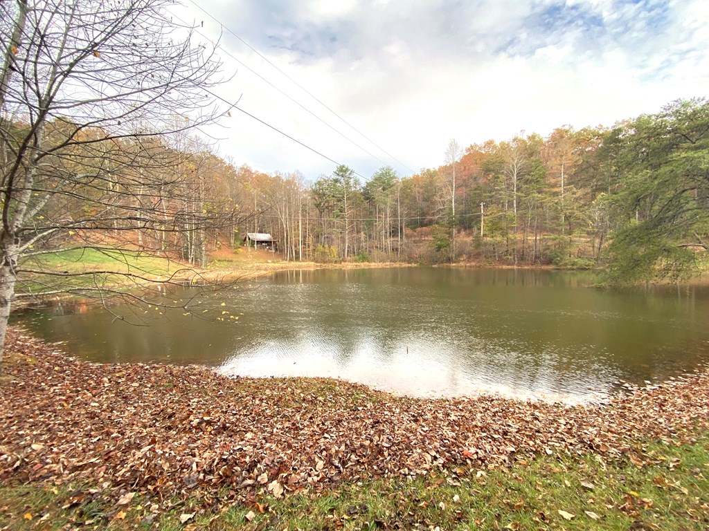 340 Trout Pond Circle, MURPHY, North Carolina image 49