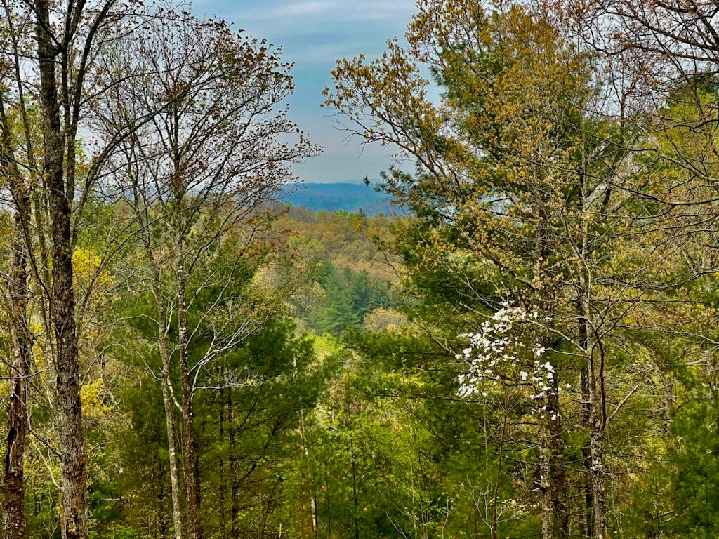 TR1-22 Majestic Mountain Trl #TR1-2, MURPHY, North Carolina image 7