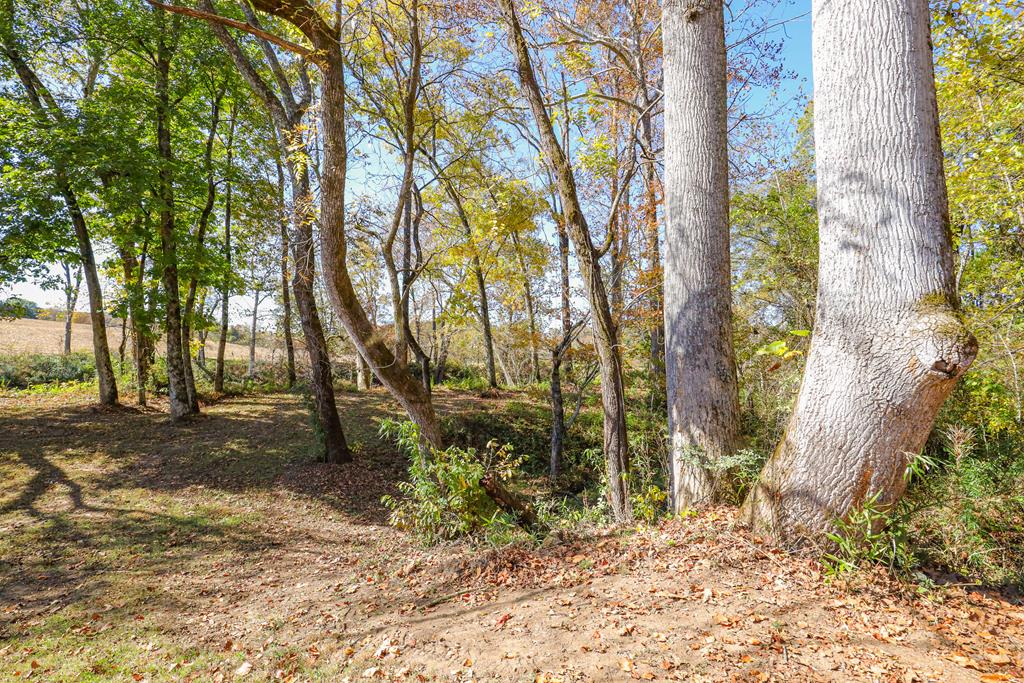 Lot 6 Hinton Overlook #6, HAYESVILLE, North Carolina image 13