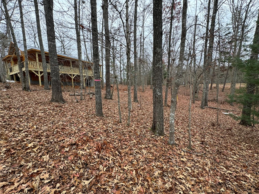 55 Lakeside View Trl, MURPHY, North Carolina image 29