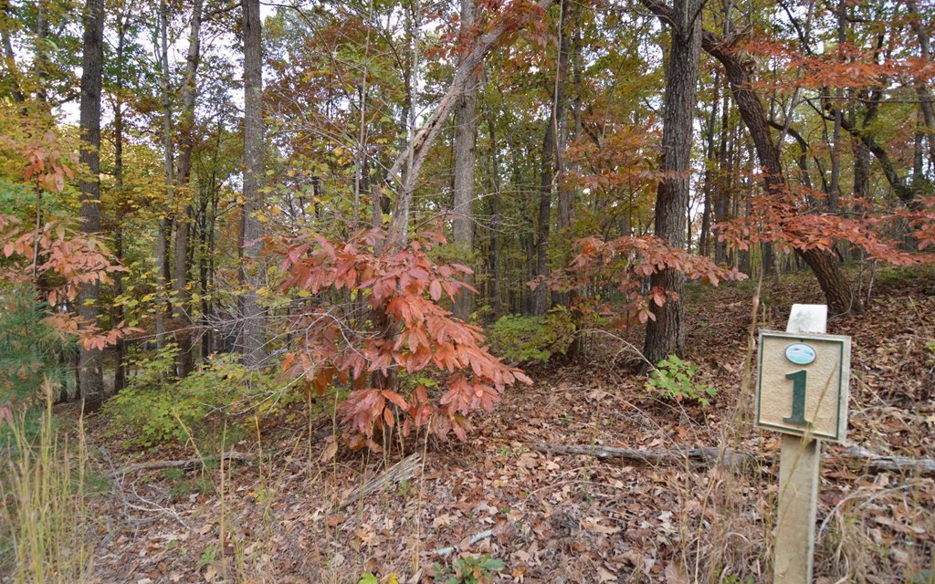 Lot 1 Serenity Ridge #1, BLAIRSVILLE, Georgia image 10