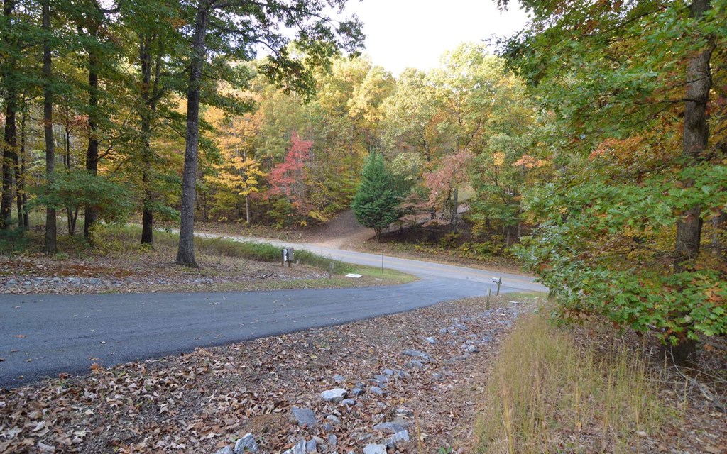 Lot 1 Serenity Ridge #1, BLAIRSVILLE, Georgia image 8