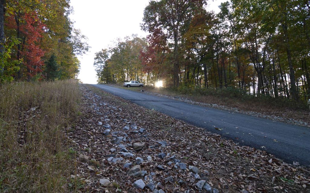 Lot 1 Serenity Ridge #1, BLAIRSVILLE, Georgia image 6