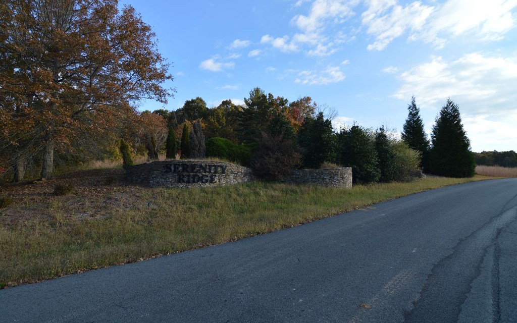 Lot 1 Serenity Ridge #1, BLAIRSVILLE, Georgia image 3