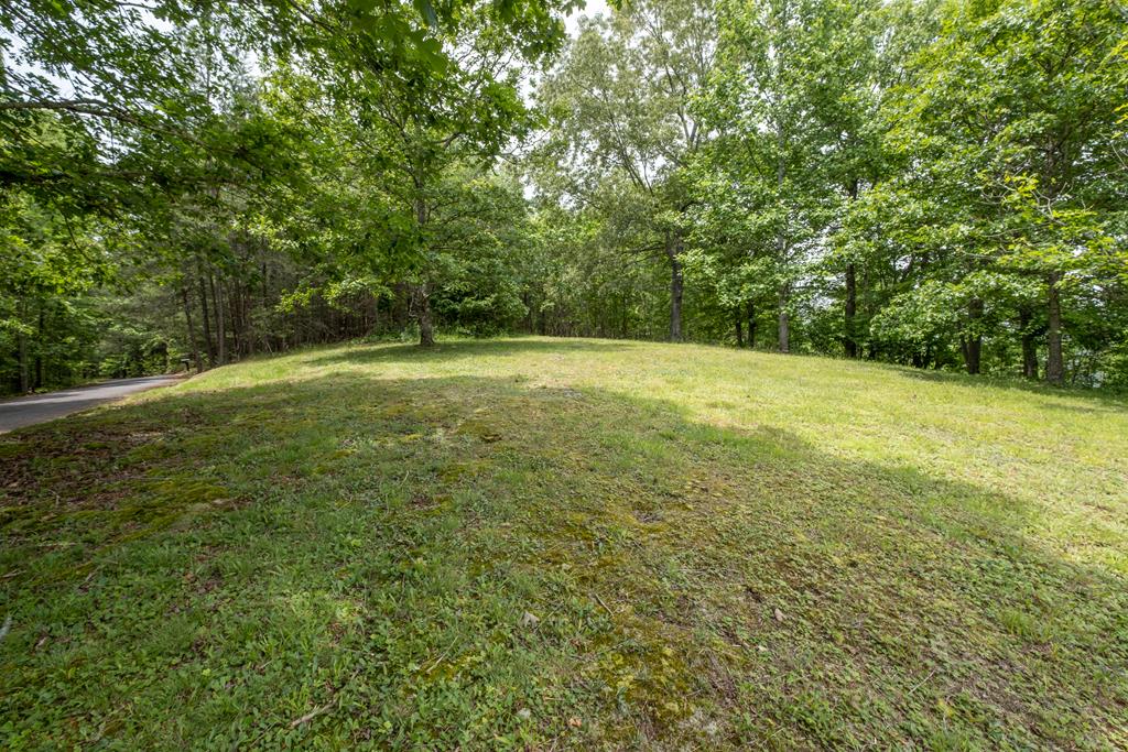 Lot 27 Hillside Drive #27, WARNE, North Carolina image 8