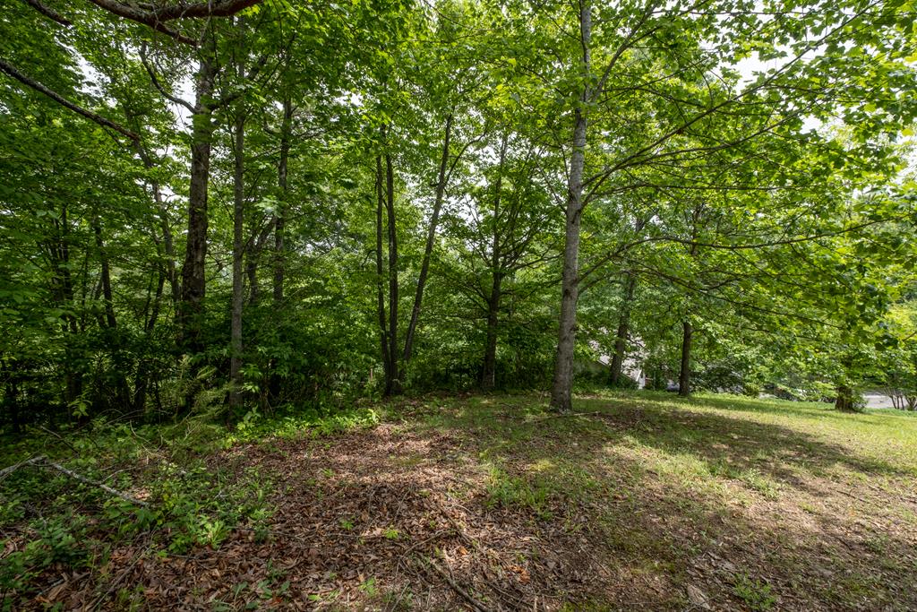 Lot 27 Hillside Drive #27, WARNE, North Carolina image 6