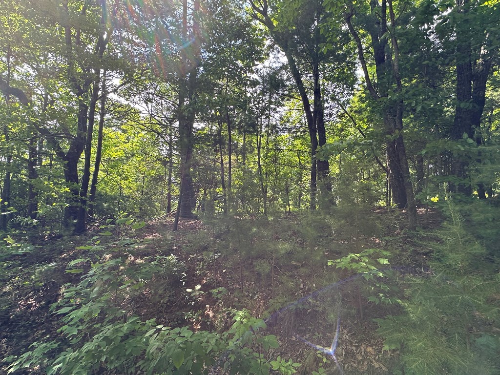 Lot 31 Peak Trail