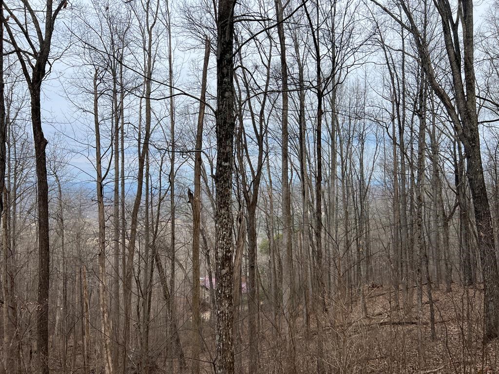 Lot 73 Rocky Knob Estates #73, YOUNG HARRIS, Georgia image 43