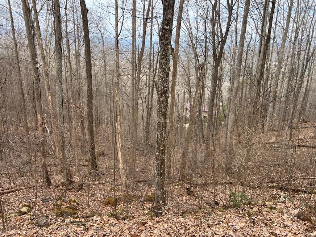 Lot 73 Rocky Knob Estates #73, YOUNG HARRIS, Georgia image 34