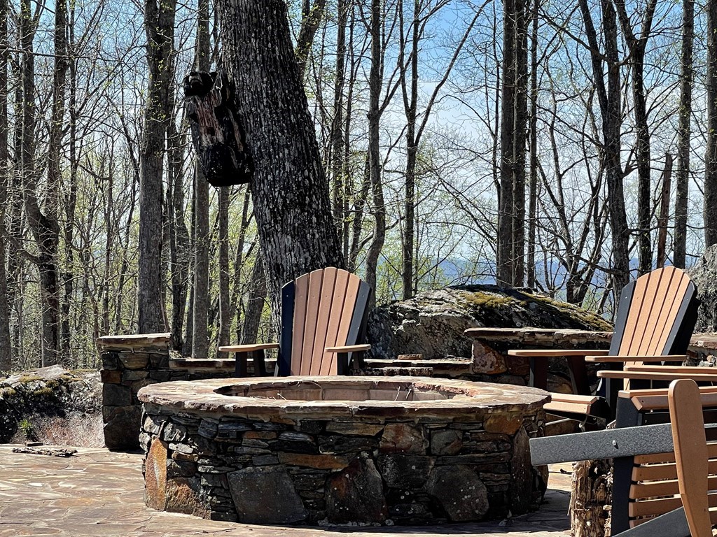 Lot 73 Rocky Knob Estates #73, YOUNG HARRIS, Georgia image 19