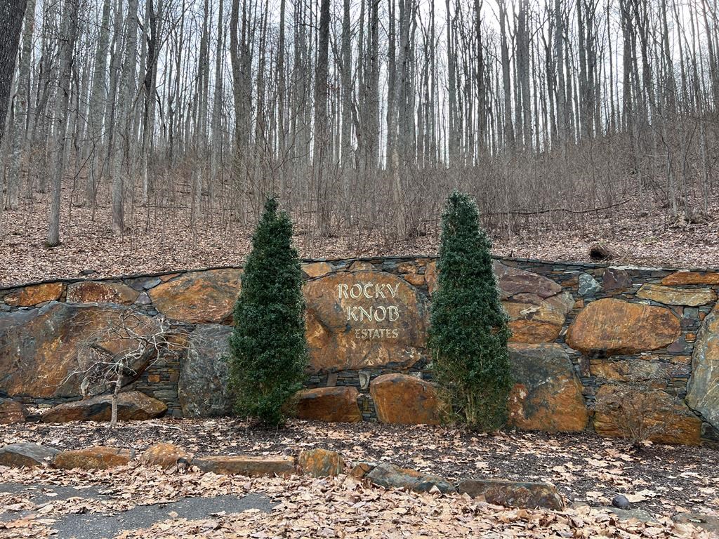 Lot 73 Rocky Knob Estates #73, YOUNG HARRIS, Georgia image 44