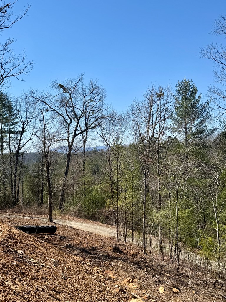 395 Cee Ray Circle, MURPHY, North Carolina image 22