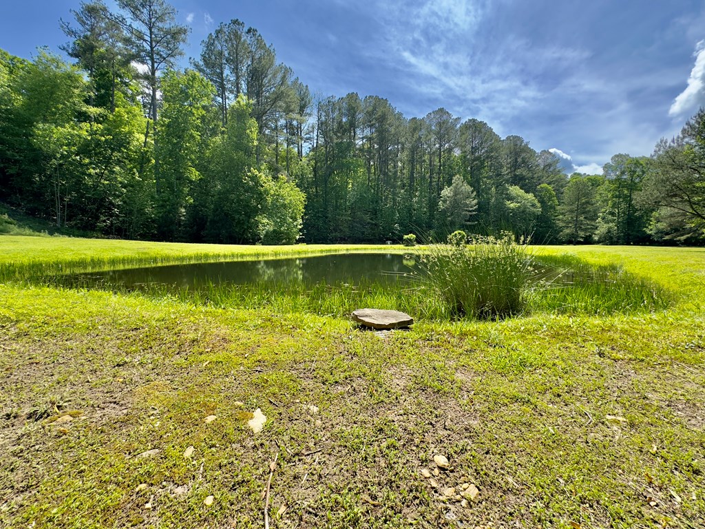 1970 Culberson Road, MURPHY, North Carolina image 50