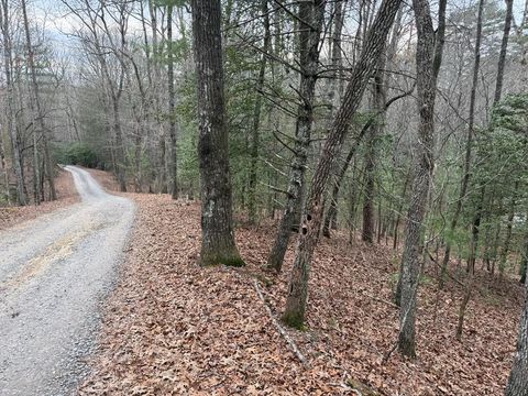 Vacant Land For Sale - Mahana Lane<br/> MURPHY, NC 28906